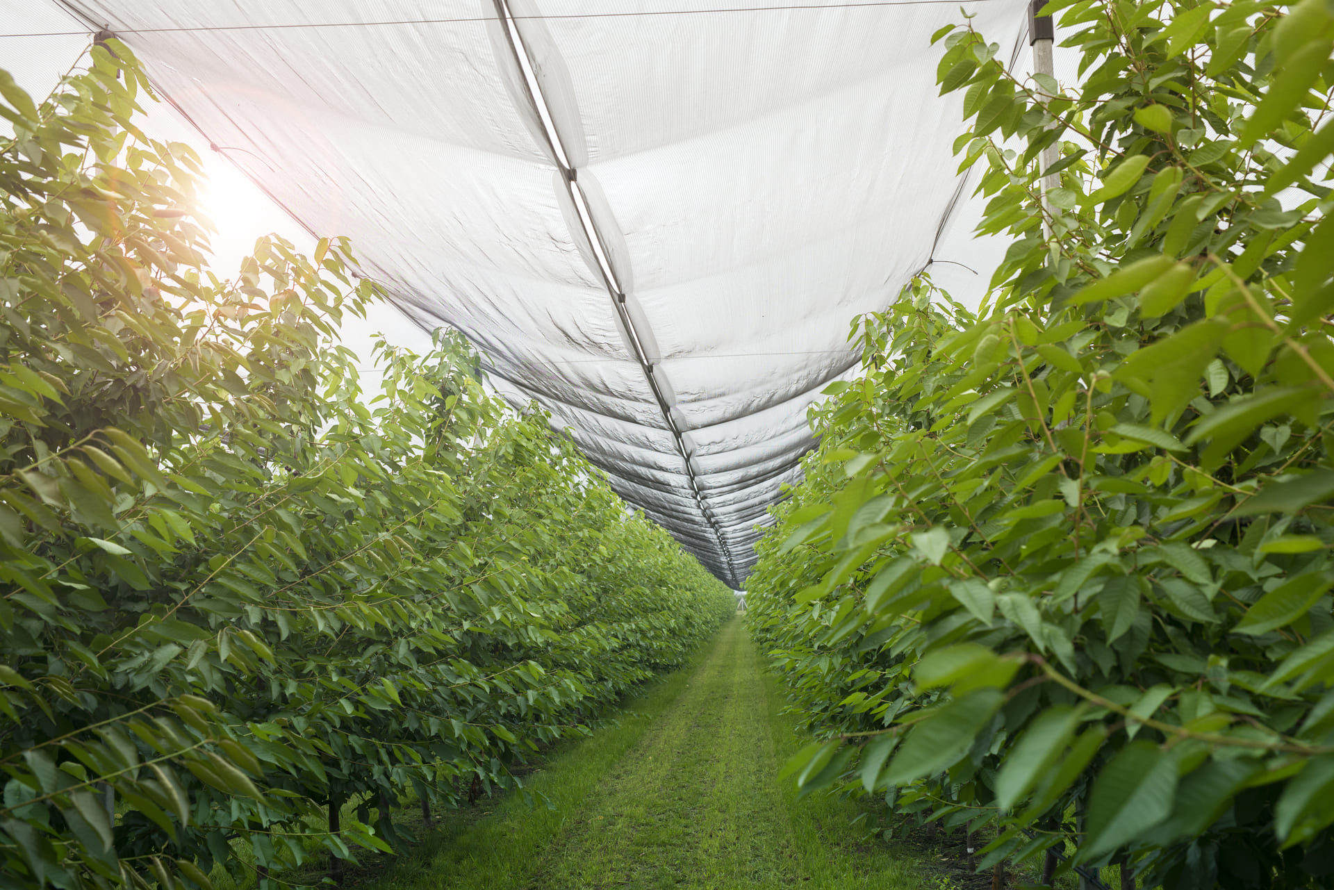 Solutions de Protection →