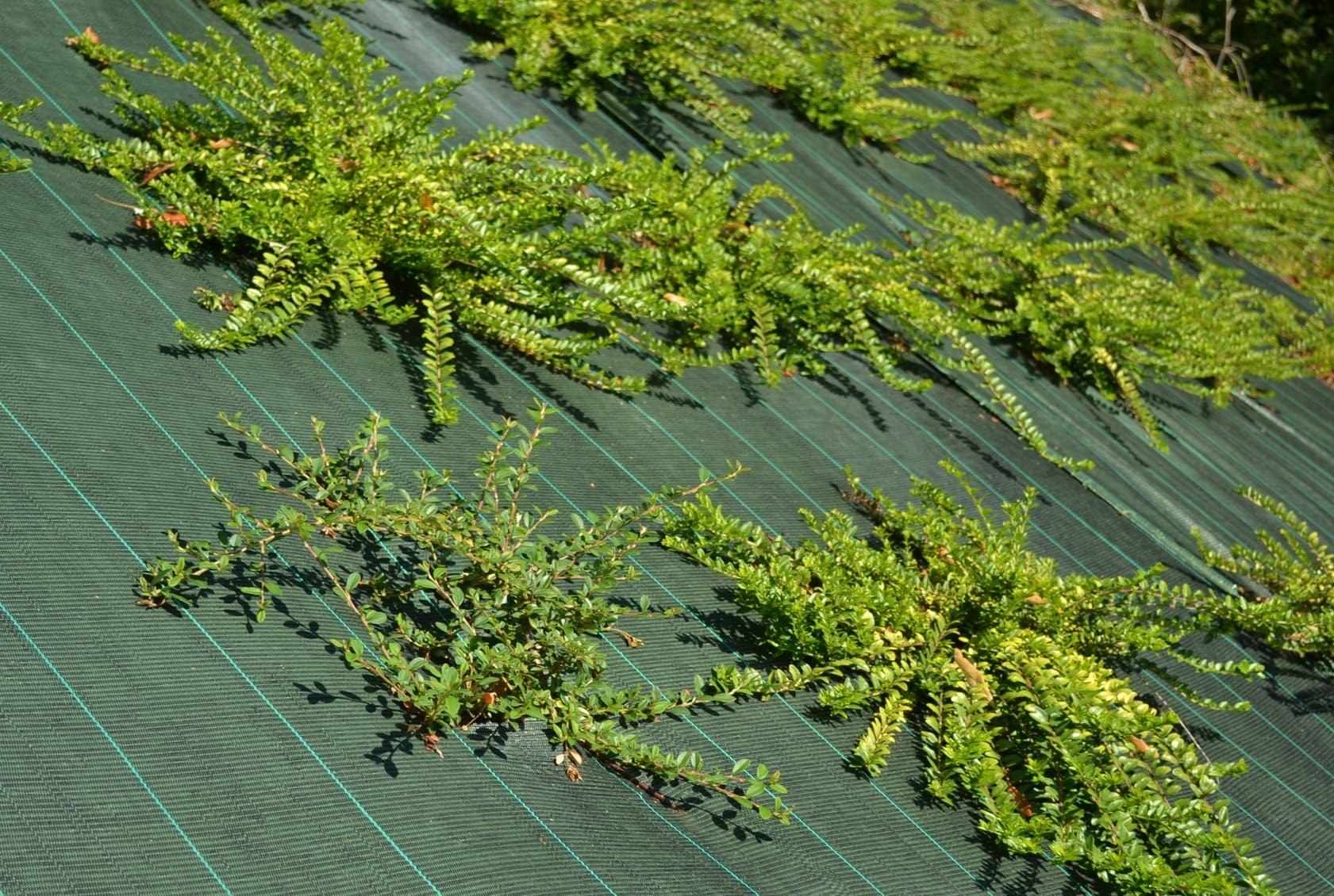 Solutions pour semi-professionnels et particuliers  →