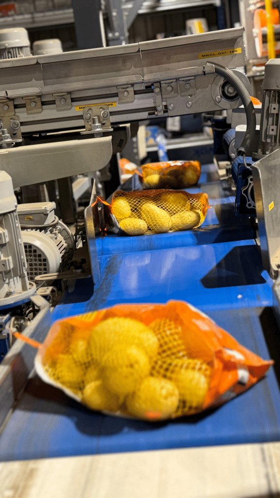 Machines automatiques pour l'emballage des fruits et légumes