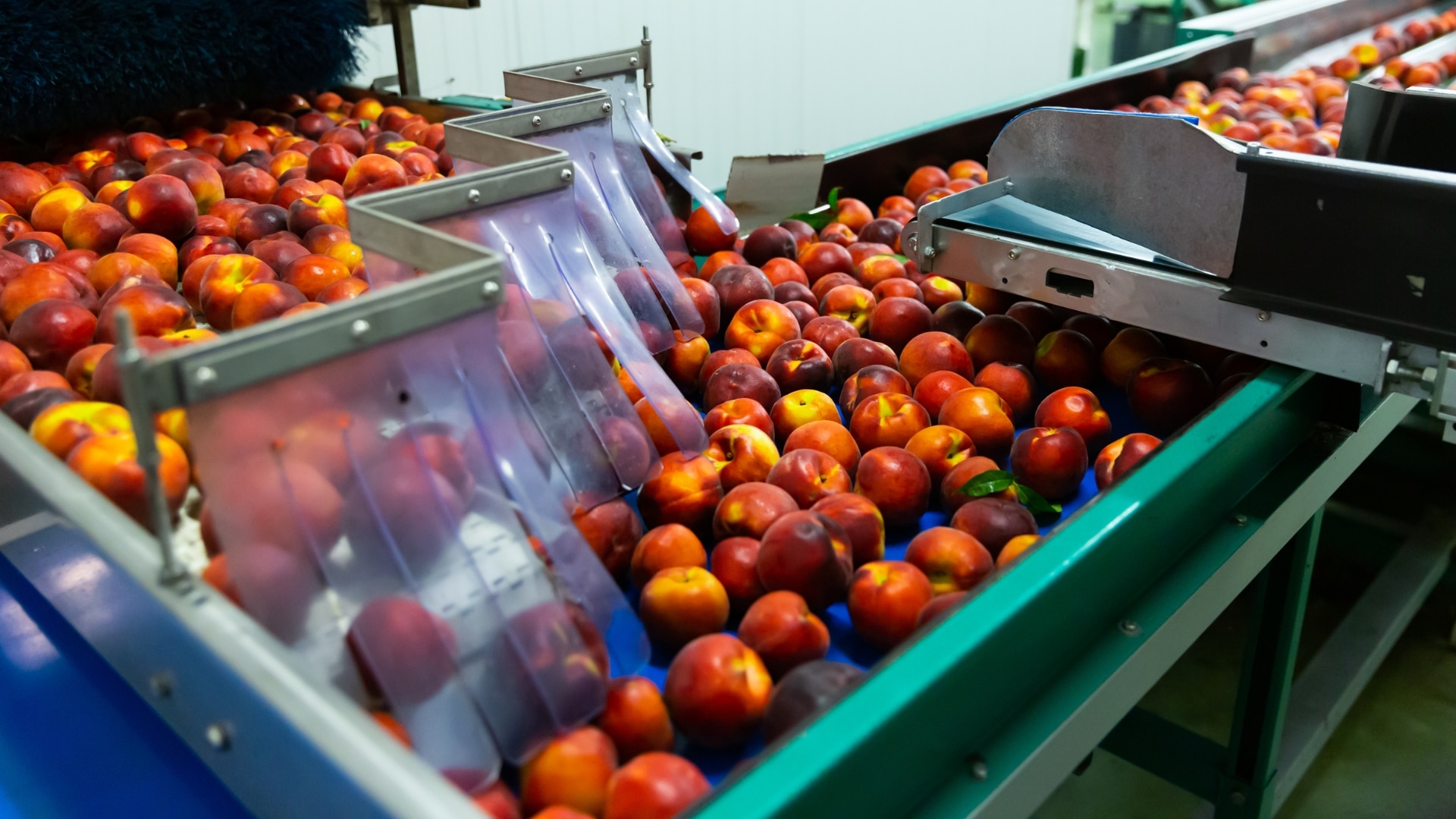 Matériels fruits et légumes  →